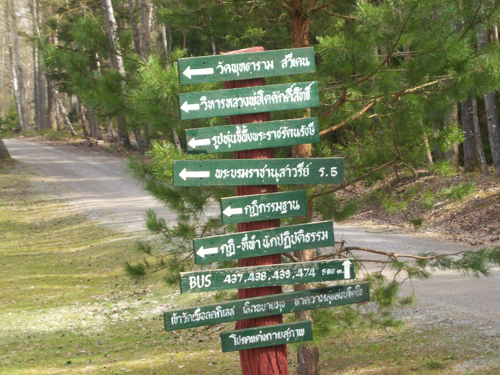 Language Basics